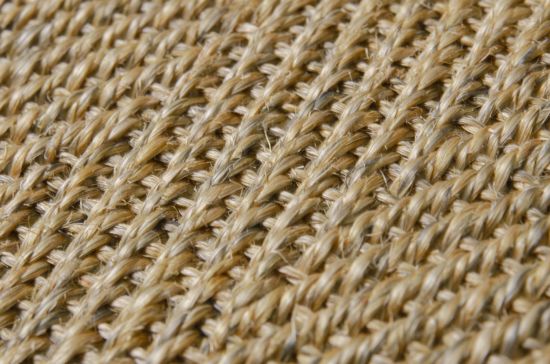 Sisal Teppich Fischgrat natur Baumwollbordre aubergine