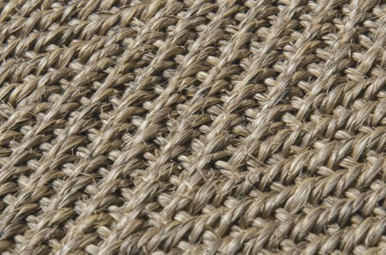 Sisal Teppich Fischgrat macciato Baumwollbordre cremewei