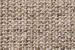 Sisal Teppich Mio beigemix Baumwollbordre mocca