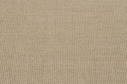 Sisal Teppich Mio kiesel mit Baumwollbordüre